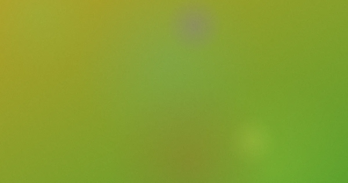 小莉影院是什么？逐项看懂